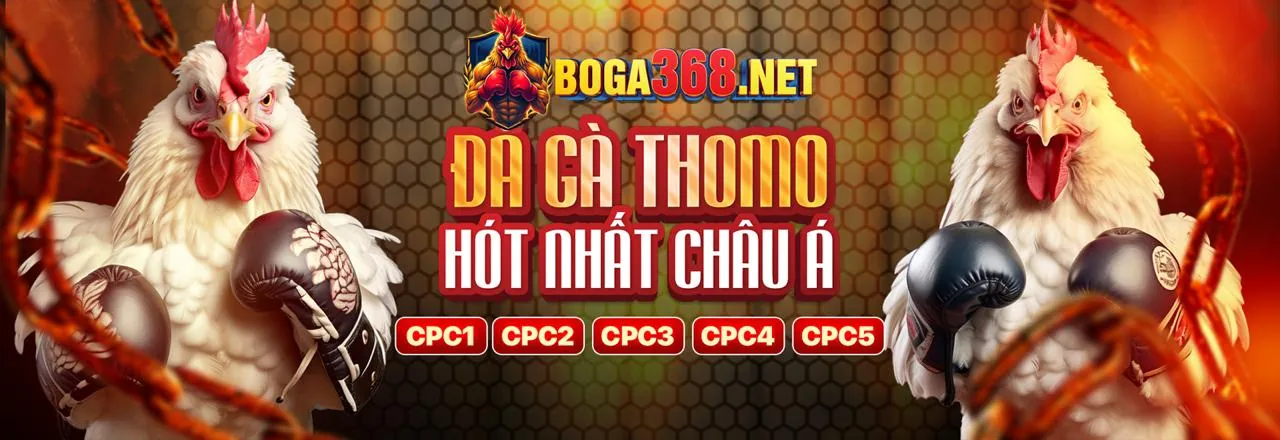 Các phương thức giao dịch an toàn và nhanh chóng tại 8xbet