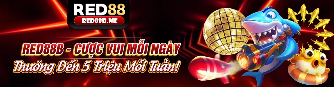 Khuyến mãi hoàn trả hàng ngày và thưởng tuần tại nhà cái 8xbet